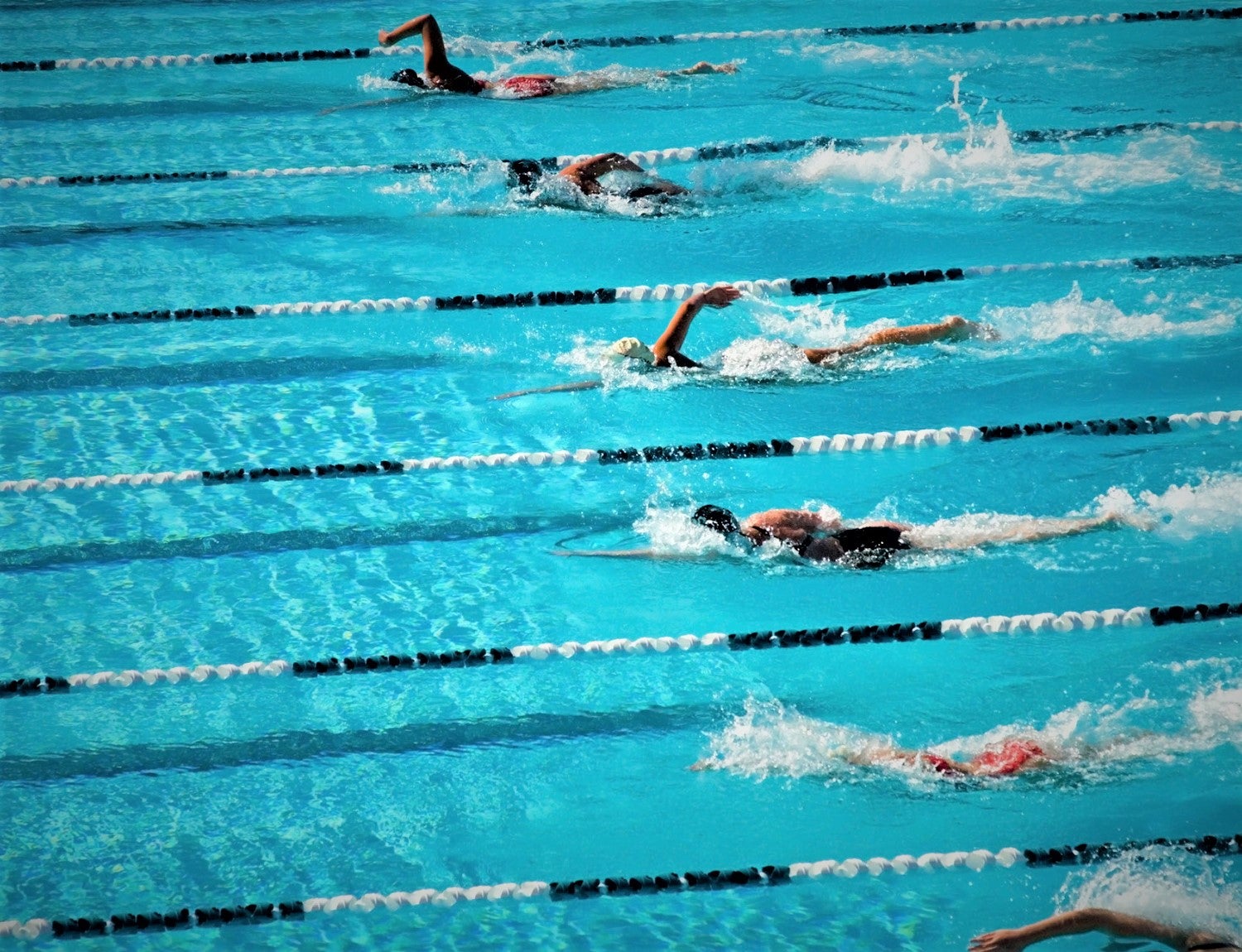 Swimming at USC